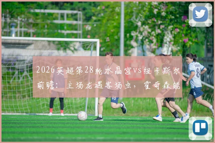 2026英超第28轮水晶宫vs纽卡斯尔前瞻:主场龙遇客场虫,霍奇森能否阻击埃迪·豪抢分保级?