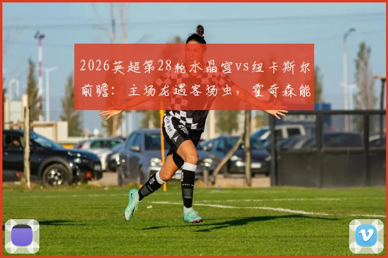 2026英超第28轮水晶宫vs纽卡斯尔前瞻：主场龙遇客场虫，霍奇森能否阻击埃迪·豪抢分保级？