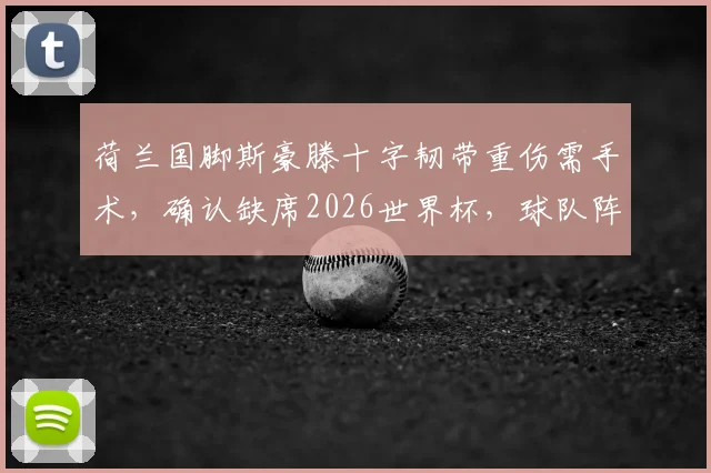 荷兰国脚斯豪滕十字韧带重伤需手术，确认缺席2026世界杯，球队阵容及个人职业生涯影响几何？